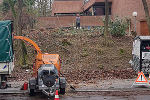 Neugestaltung Krippenspielplatz der Ev. Kita Grünes Dreieck: Baumfällung, 28.1.2025 (© Andreas Kaul)